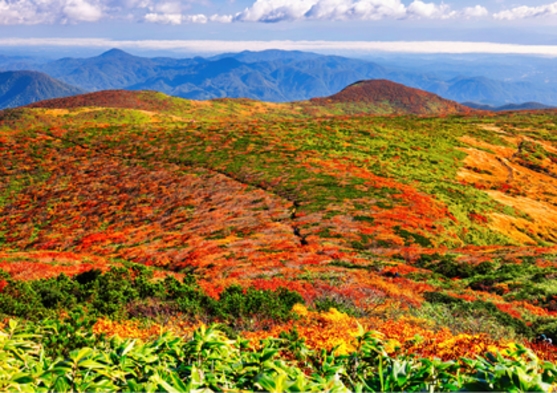 10月【紅葉の栗駒山プラン】1泊夕食のみ※和室